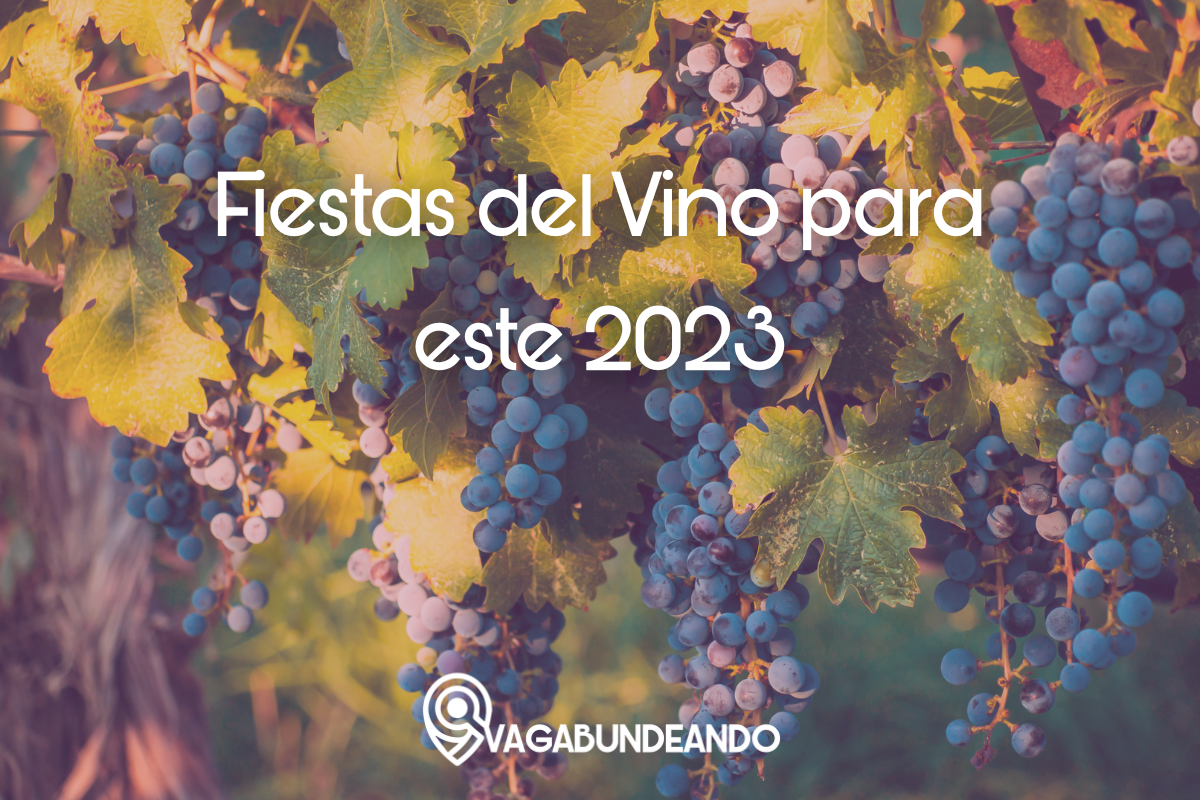 Fiestas del Vino para este 2023